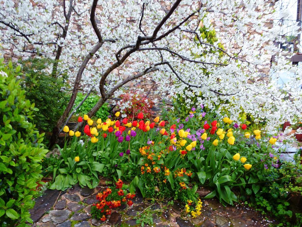 Jardines Del Robledo-Albar Pensionat San Miguel del Robledo Exteriör bild