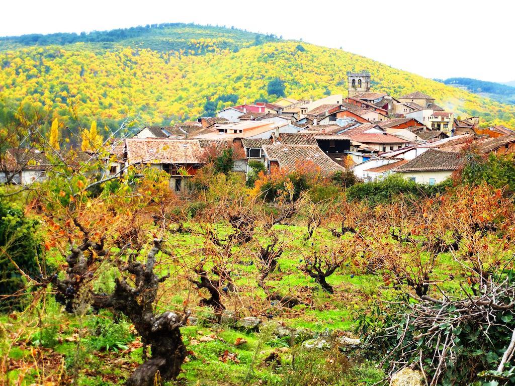 Jardines Del Robledo-Albar Pensionat San Miguel del Robledo Exteriör bild