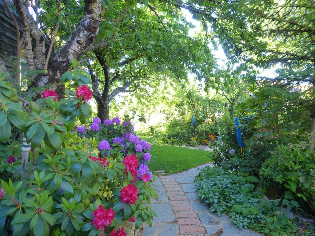 Jardines Del Robledo-Albar Pensionat San Miguel del Robledo Exteriör bild